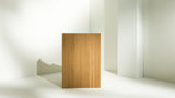 Parabole Chair