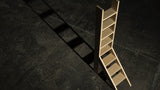 Ladder5